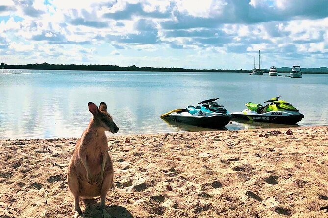 Gold Coast 30 Minute Jetski Tour in Surfers Paradise - From Surfers Paradise to open water