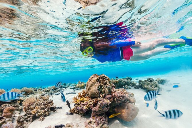 Half Moon Bay Jet Ski Tour & Snorkeling the La Famille Shipwreck - Half Moon Bay and its friendly residents