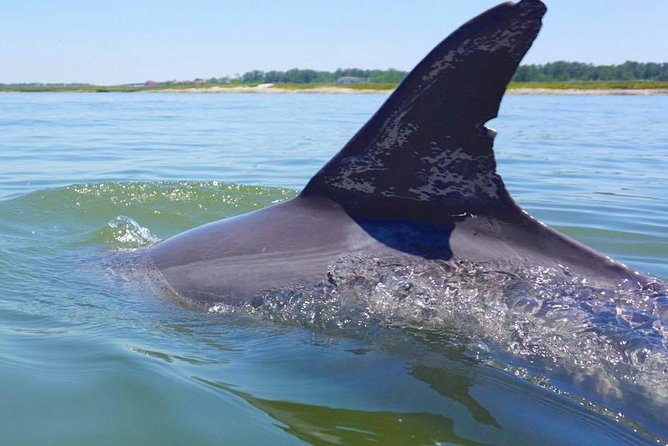 Hilton Head Island Jet Ski Adventure - Key things to know before you book