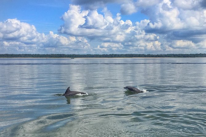 Hilton Head Jet Ski Creek Run Tour - From 86 Helmsman Way into Lowcountry waterways