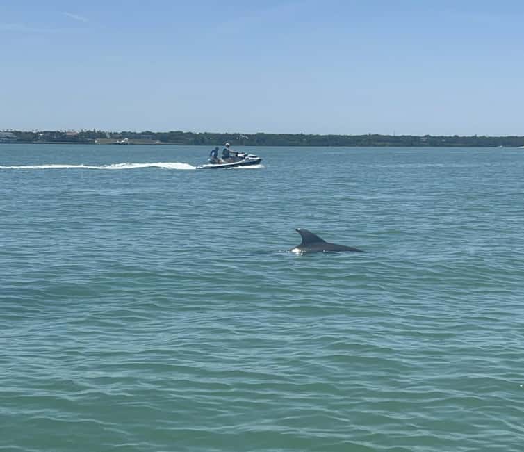 Indian Rocks Beach: Guided Jet Ski Adventure - From the hotel dock to open water
