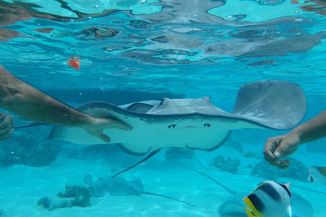 Jet-Ski Découverte 1H00 Jet Ski excursion to Moorea (Single or two-seater) - What the price means at $89.15 per person