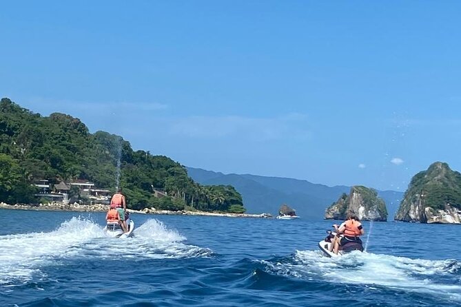 Jet Ski Jet Ski Rental in Puerto Vallarta - Wildlife is possible, but not promised
