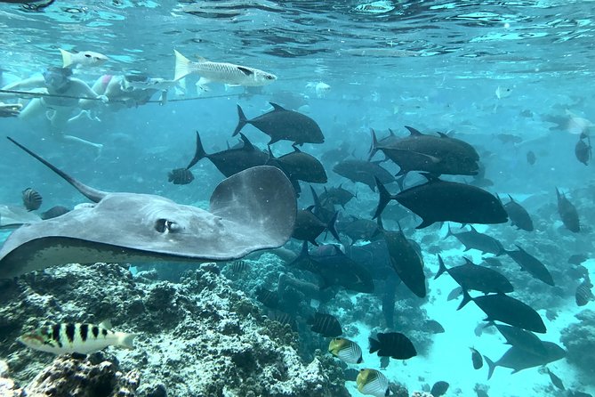 Jet Ski Moorea Customed Tour only - Safety, weather, and what to bring
