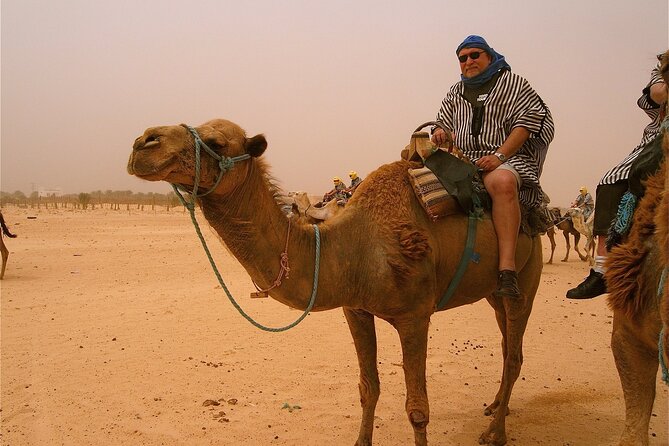 Jet Ski Quad Bike Camel Rdie And Hammam Massage Package - Camel Riding Through Eucalyptus Forest