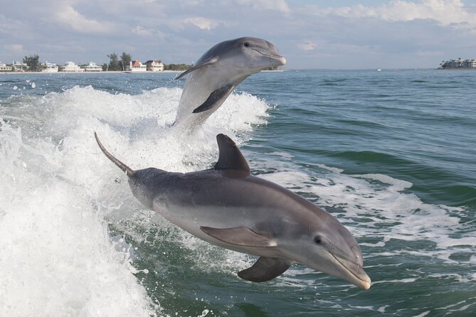 Jet Ski Rental from Fort Myers Beach to Sanibel - Is $150 good value for up to two people?