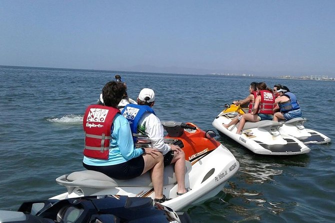 Jet Ski Safari in Puerto Vallarta - Wildlife sightings depend on the day