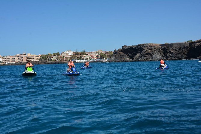 Jet Ski Safari South Tenerife - Dolphins, turtles, and the limits of the safari promise