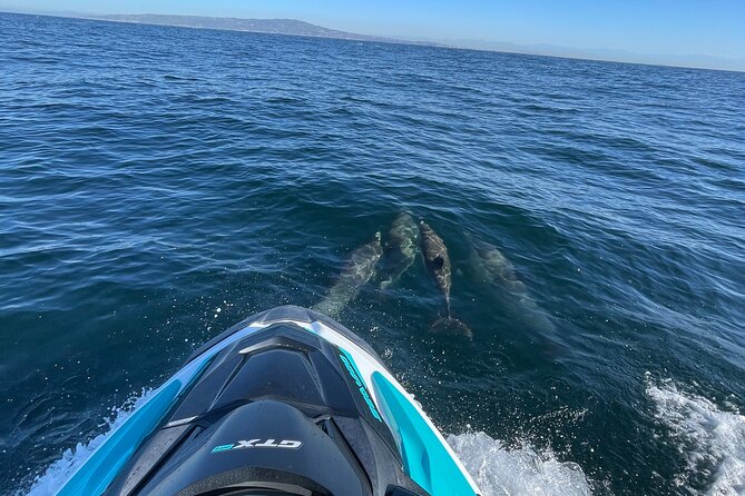 Jetski Adventure: Guided Trip from Long Beach to Catalina Island - Who should book this jet ski trip
