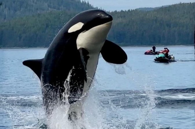 Juneau Jetski & Whale Adventure - Riding toward Juneau and Douglas Island