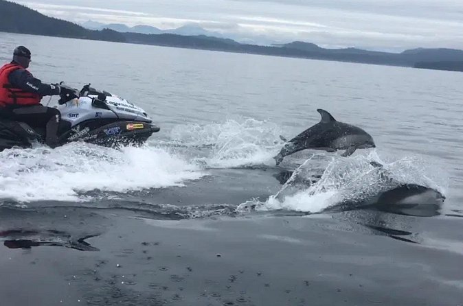 Juneau Jetski & Whale Adventure - What the $550 price means