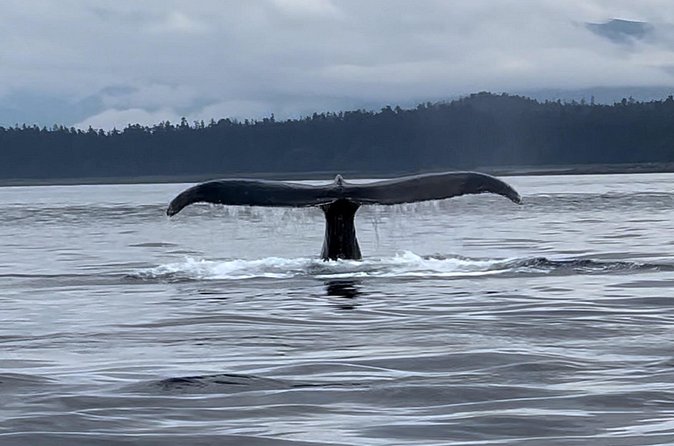 Juneau Jetski & Whale Adventure - Mendenhall Glacier from the water
