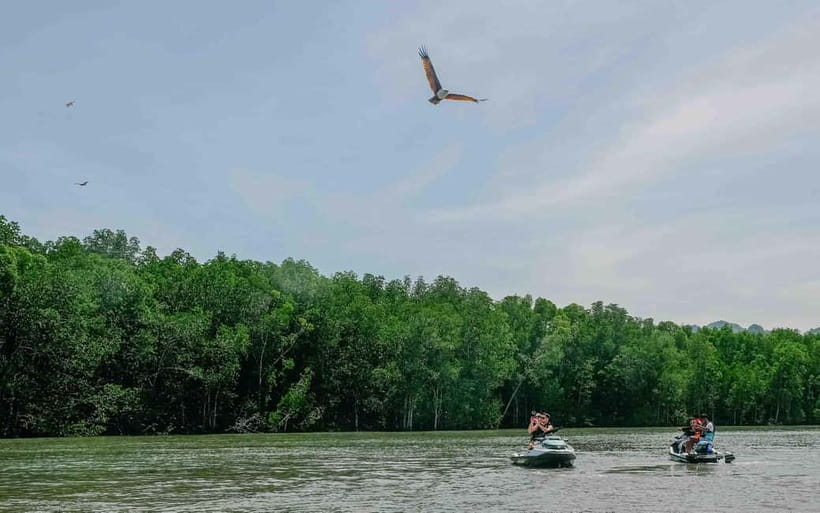 Langkawi: Jet Ski Tour UNESCO Kilim Geopark Free Video - Monkey watching along the forest edge