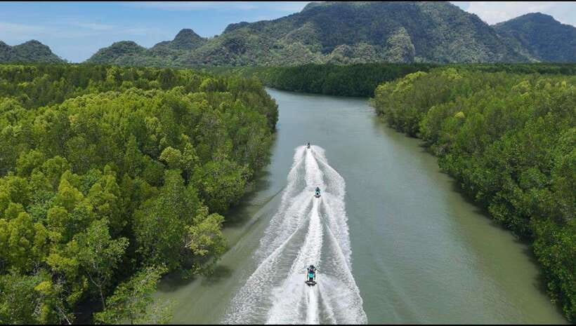 Langkawi: Mangrove Jet Ski Tour with Drone Video - The mangrove section: scenic, but not a full river safari