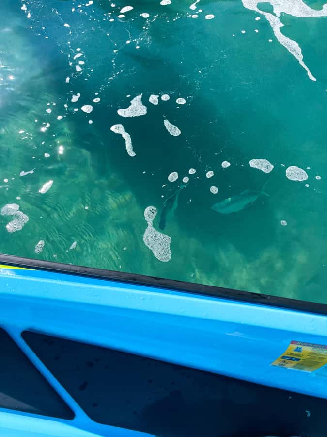 Magnetic Island: 5 Beach Bay Jet Ski Tour - The route toward North-West Point