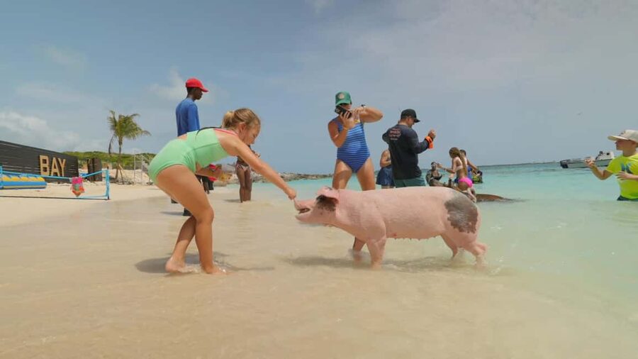 Mansa Bay w/ Swimming Pigs, Banana Boat, JetSki & Snorkeling - From Nassau Harbor to Mansa Bay