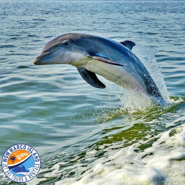 Marco Island: Dolphin Jet Ski Tour - Riding out from 750 Palm Point Drive