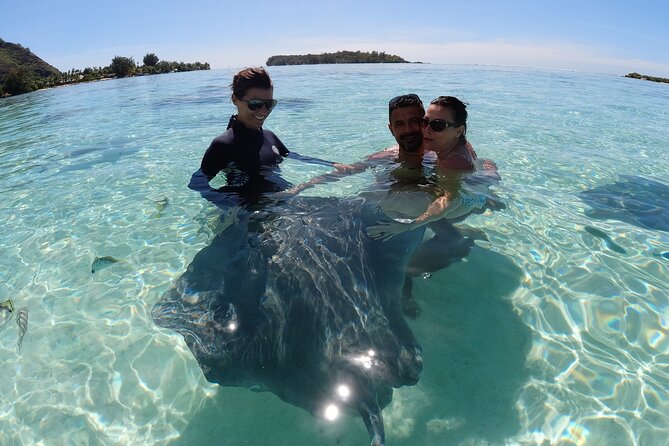 Moorea Solo or Twin 2 hours Jet Ski Tour - The 20-minute stingray and shark stop