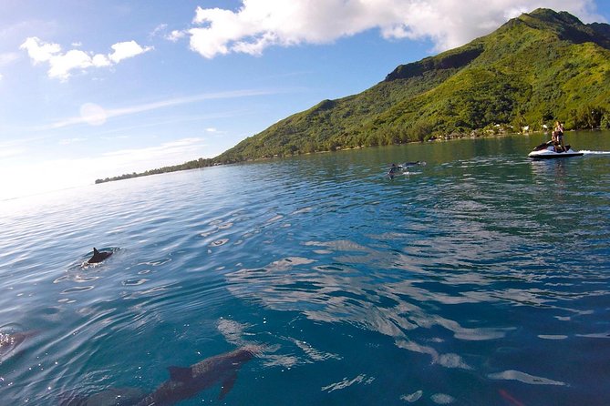 Moorea Solo or Twin 3 hours Jet Ski Tour - Cook’s Bay, where the mountains close in