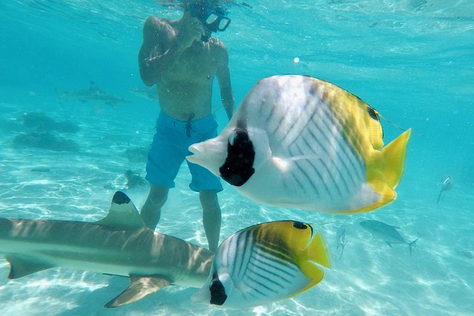 Moorea Solo or Twin 3 hours Jet Ski Tour - How demanding is the riding?