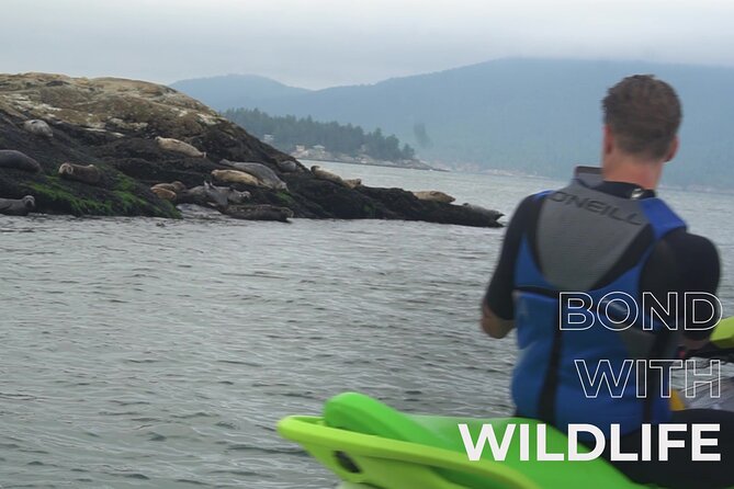 Ocean is Yours Seadoo Experience from Vancouver - Who will enjoy this ride most