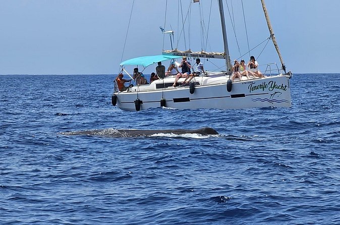 Ocean Pack Tenerife Jet Ski and Yacht Whale Watching - Booking, weather, and cancellation advice