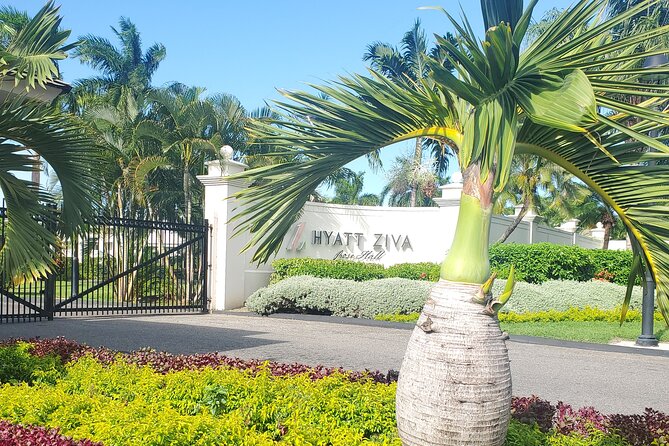 Parasaling & jetski experience Montego bay. - Small details to settle before you book