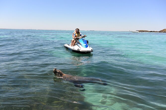 Perth Jet Ski Tour - Garden Island Causeway Bridge and Cockburn Sound