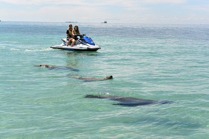 Perth Jet Ski Tour - Should you book the Perth Jet Ski Tour?