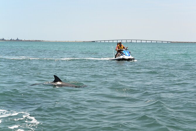 Perth Jet Ski Tour - Choosing between the one-hour Eco Tour and the 1.5-hour Blast Tour