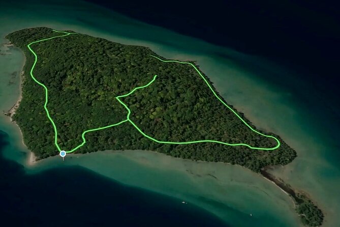 Power Island Guided Jetski Tour - Timing, weather, and what to plan around