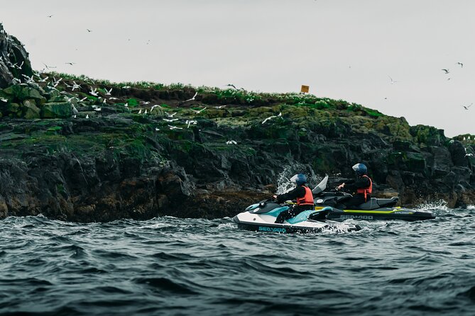 Puffin Jet ski tour in Reykjavík - Stop 1: Viðey Island and Reykjavík Bay
