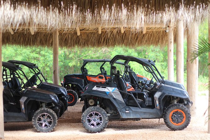 Punta Cana Buggy & Jet Ski Adventure with Water Park Access - A 200-meter zipline over the lake
