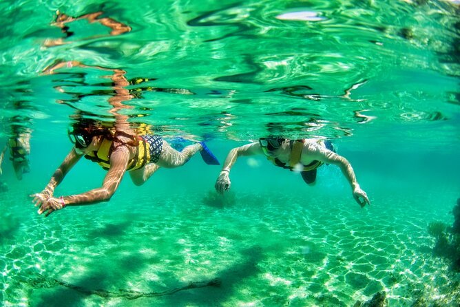 Speedboat across the Mangroves & Snorkel with Jet Ski Rental - Guides, group size, and the human side of the tour
