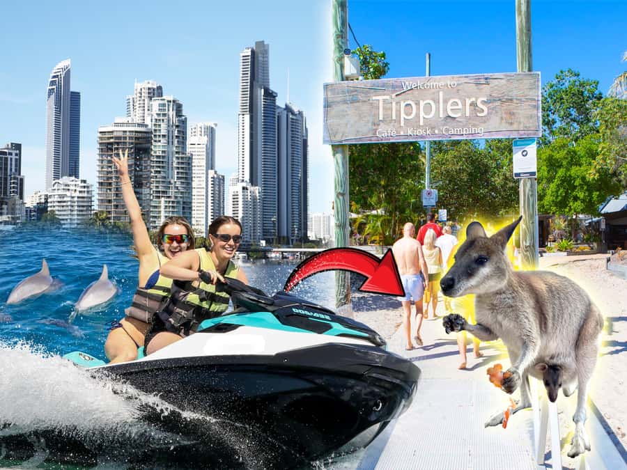 Surfers Paradise: 2 Hour Tropical Island Jet Ski Tour - Key points at a glance