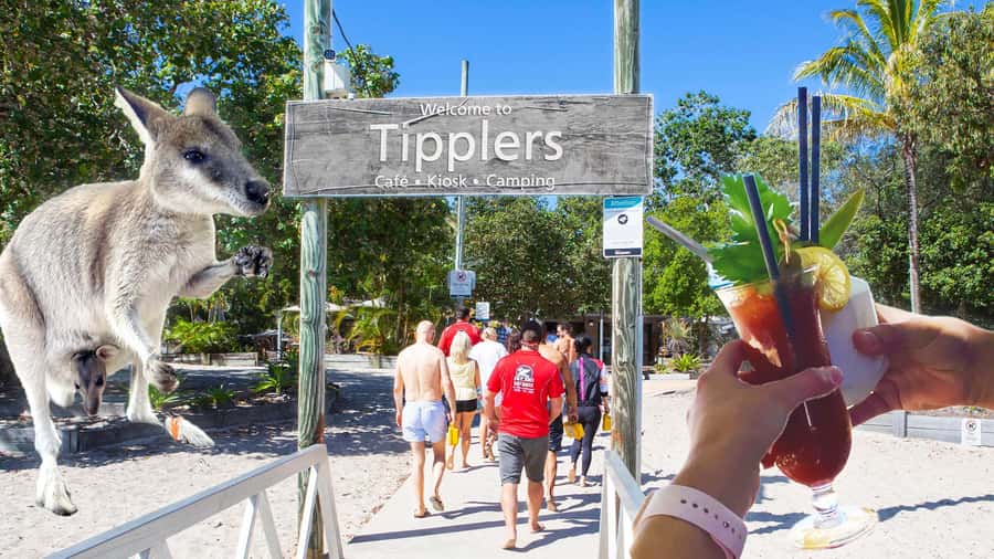 Surfers Paradise: 2 Hour Tropical Island Jet Ski Tour - Tipplers Cafe and the South Stradbroke Island stop