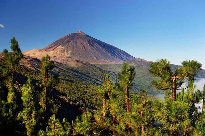 Tenerife: Jet Ski Tour with Optional Quad Trip - Key points at a glance