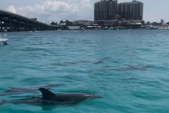Waverunner Dolphin Tour - Is $189 a Good Value for One Waverunner?