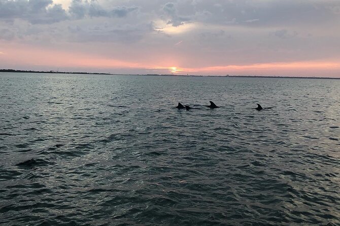 Waverunner Dolphin Tour - Who Will Enjoy This Best