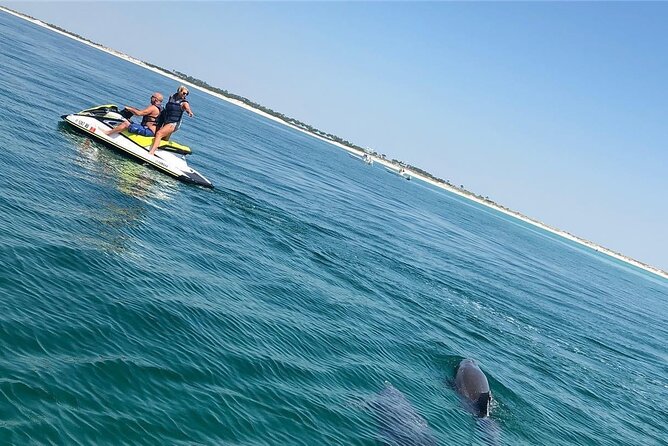 Waverunner Dolphin Tour - Timing, Weather, and What to Bring